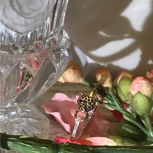 Leopard Hoops - Picture 10 of 12